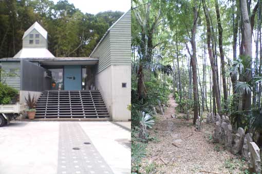 ファイル名: kasuya.jpg
ファイルサイズ: 32.8KB 左:美術館正面 右:美術館裏にあるカスヤの森