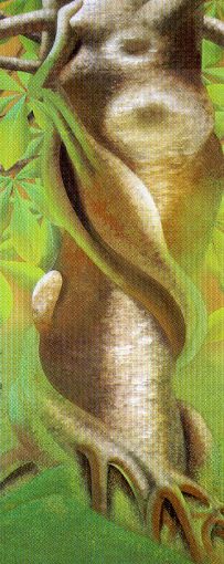 ファイル名: img060.jpg
ファイルサイズ: 32.3KB 樹木
