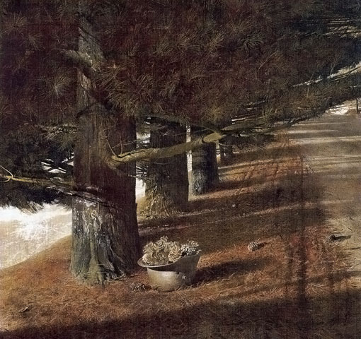 ファイル名: img0731.jpg
ファイルサイズ: 81.2KB 松ぼっくり男爵