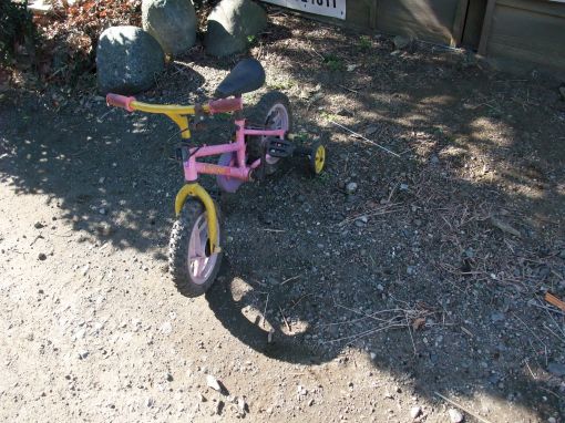 ファイル名: DSCF5764.jpg
ファイルサイズ: 60KB 三輪車