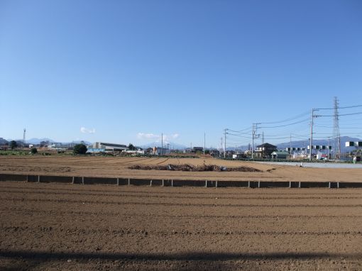 ファイル名: DSCF5767.jpg
ファイルサイズ: 28.4KB 一面畑