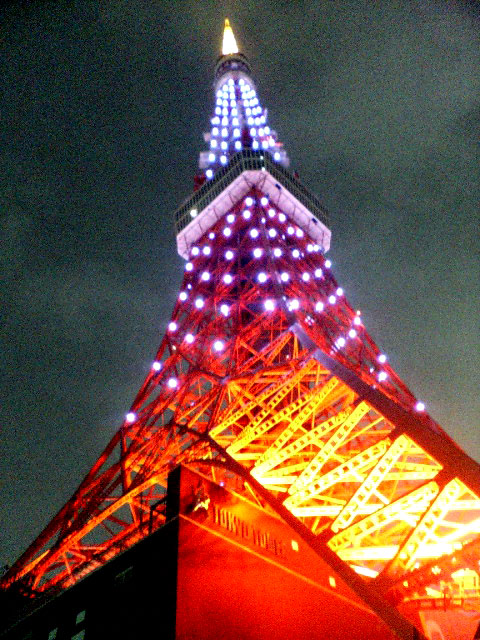 ファイル名: D1000005.jpg
ファイルサイズ: 124.6KB 東京タワー全景