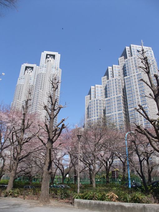 ファイル名: DSCF6622.jpg
ファイルサイズ: 87.1KB 東京都庁