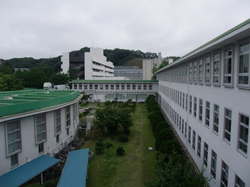 ファイル名: DSCF7288.jpg
ファイルサイズ: 46KB 市大学内