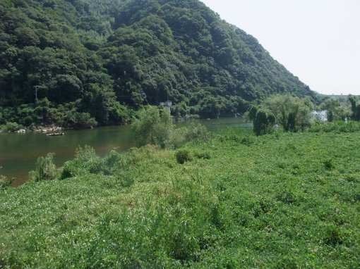 ファイル名: DSCF7847.jpg
ファイルサイズ: 63KB 市川