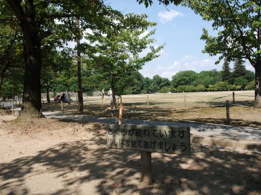 ファイル名: DSCF7871.jpg
ファイルサイズ: 70.4KB さくらが疲れています少し休ませてあげましょう