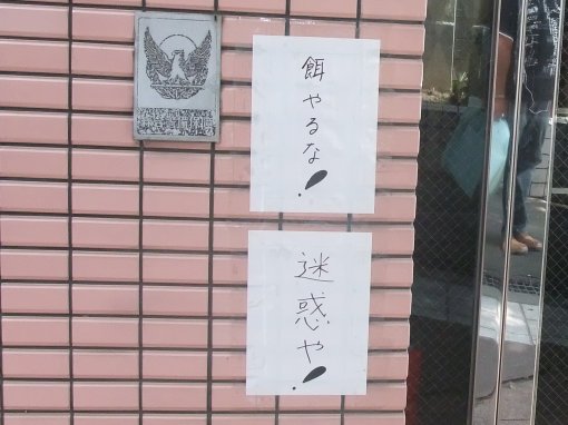 ファイル名: DSCF8066.jpg
ファイルサイズ: 39.6KB 餌やるな! 迷惑や!